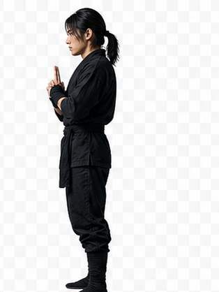Ninja side view